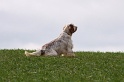 IMG_6531