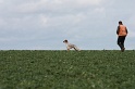 IMG_6635