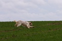 IMG_6693