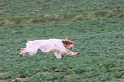 IMG_6716