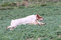IMG_6717