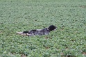 IMG_6719