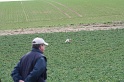 IMG_6734